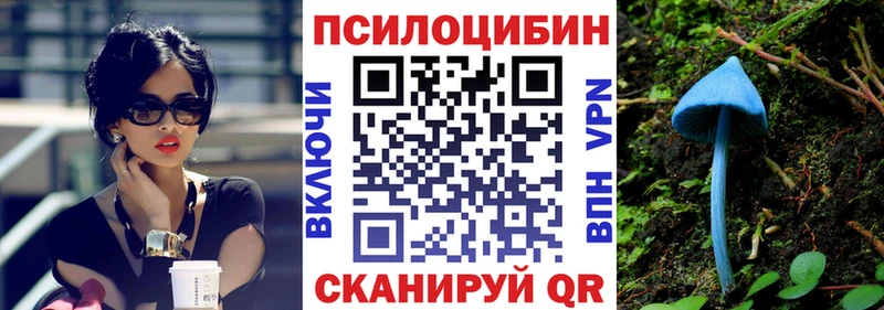 Псилоцибиновые грибы GOLDEN TEACHER  Купить где  Кимры 